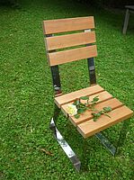 Stuhl aus Edelstahluntergestell mit hochglanzpoliertenm Flachstahl und edlem naturbelassenen offenporigem Douglasienholz